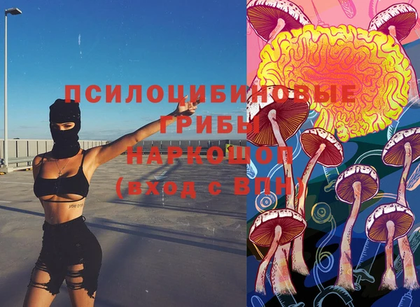 стаф Новозыбков