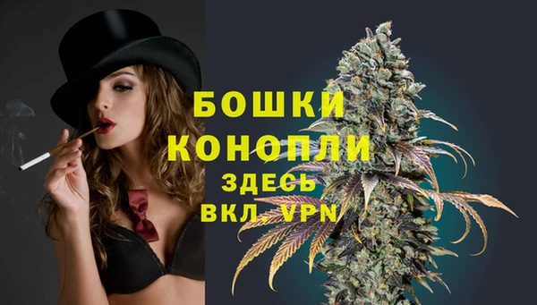 МДПВ Новодвинск