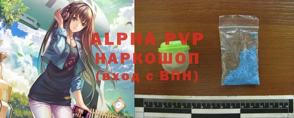 стаф Новозыбков