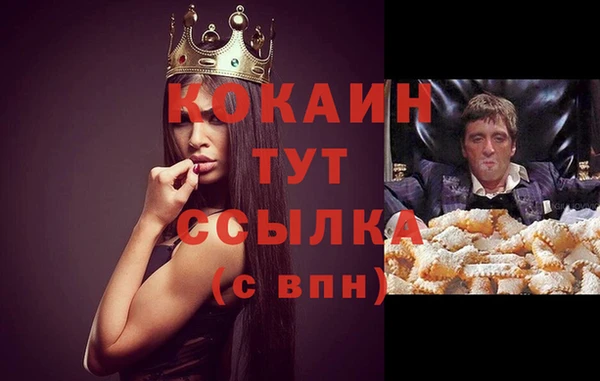 тгк Новокубанск